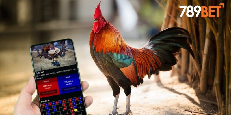 Đối những đối tác cung cấp dịch vụ đá gà trực tuyến hàng đầu tại 789BET